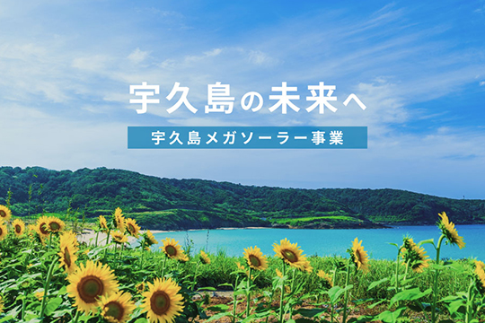 デフォルト画像